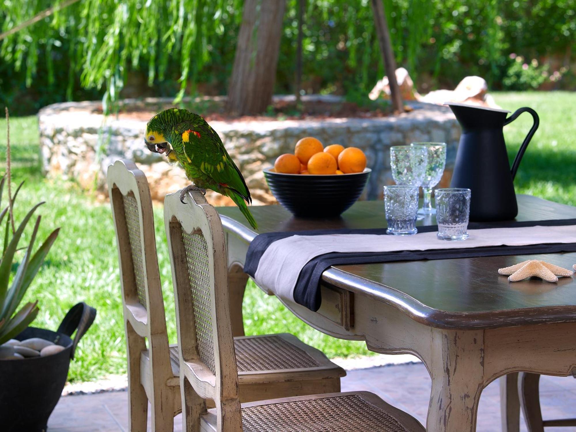 Sunvillage Malia Boutique Hotel And Suites Екстериор снимка